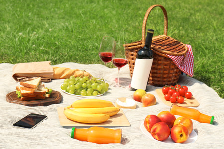Wicker basket and food on blanket in park. summer picnicの写真素材