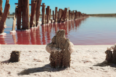Beautiful view of pink lake on summer dayの写真素材