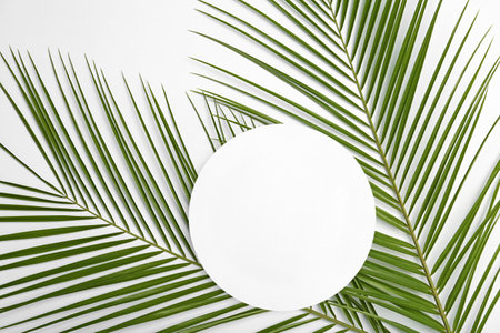 Flat lay composition with tropical date palm leaves on white backgroundの写真素材