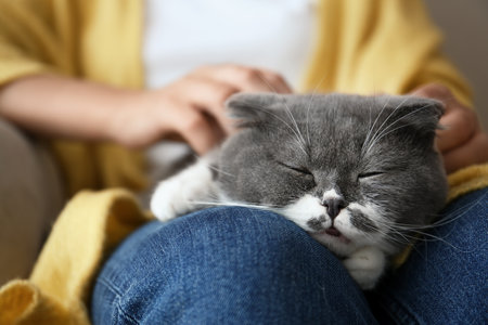 Woman stroking her cat at home, closeupの写真素材