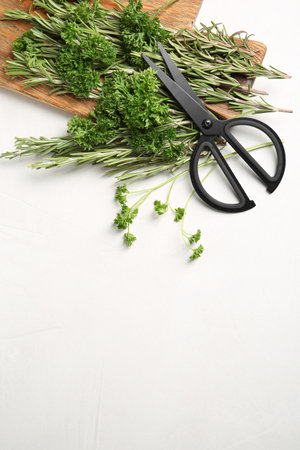 Flat lay composition with rosemary and space for text on light background. aromatic herbsの写真素材