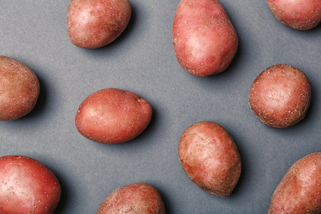 Flat lay composition with fresh organic potatoes on gray backgroundの写真素材