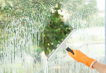 Janitor cleaning window with squeegee indoors, closeupの写真素材