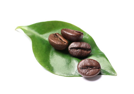 Roasted coffee beans and green leaves on white backgroundの写真素材