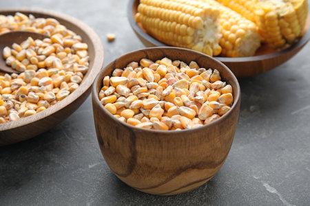 Bowls with dried corn kernels on gray table