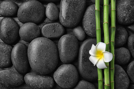 Flat lay composition with bamboo branches and spa stones as background. Space for textの写真素材
