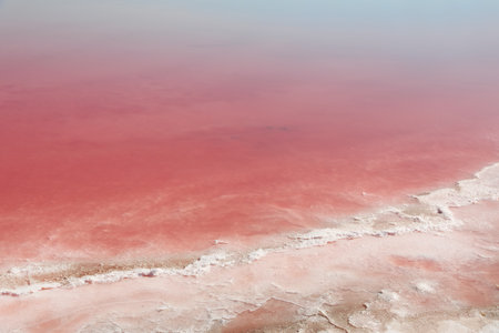 Beautiful view of pink lake on summer dayの写真素材