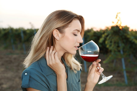 Young beautiful woman enjoying wine at vineyardの写真素材