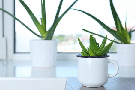 Potted aloe vera in mug and space for text on blurred backgroundの写真素材