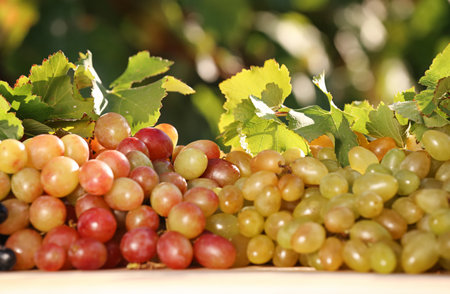 Fresh ripe juicy grapes on table against blurred backgroundの写真素材