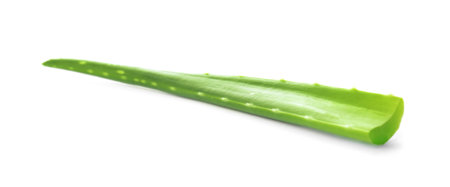 Aloe vera leaf on white backgroundの写真素材