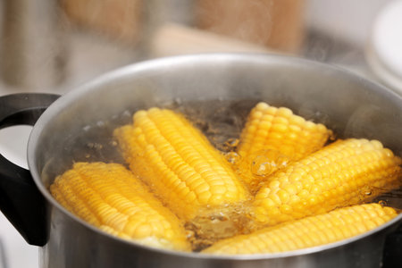 Stewpot with boiling water and corn cobs, closeupの写真素材
