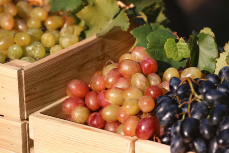 Fresh ripe juicy grapes in wooden crates, closeupの写真素材