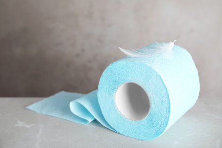 Toilet paper roll with feather on gray backgroundの写真素材