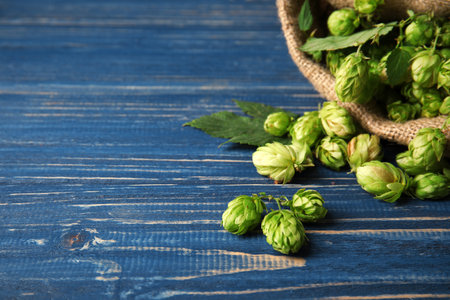 Fresh green hops and space for text on wooden table. beer productionの写真素材