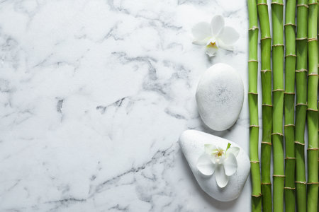 Flat lay composition with green bamboo stems on marble background. Space for textの写真素材