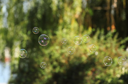 Beautiful translucent soap bubbles outdoors on sunny dayの写真素材