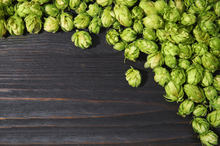 Fresh green hops on wooden background, top view with space for text. beer production