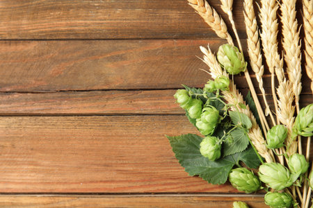 Fresh green hops and wheat spikes on wooden background, top view with space for text. beer productionの写真素材
