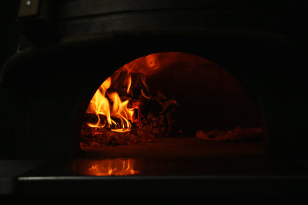 Oven with burning firewood and tasty pizza in restaurant kitchen