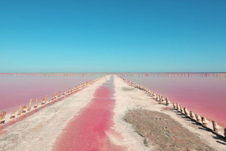 Beautiful view of pink lake on summer dayの写真素材