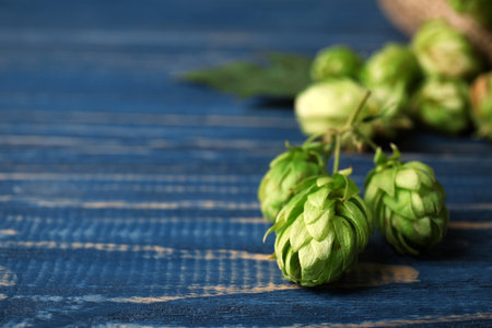 Fresh green hops and space for text on wooden table. beer productionの写真素材