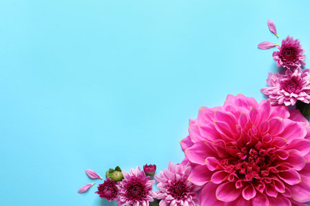 Flat lay composition with beautiful dahlia flowers and space for text on color backgroundの写真素材