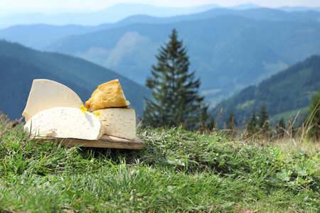 Wooden board with different kinds of delicious cheese on grass in mountains. Space for textの写真素材