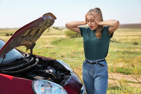woman near broken car on country road