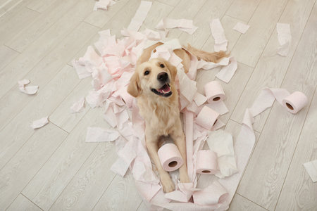 Cute dog playing with toilet paper in bathroom at homeの写真素材