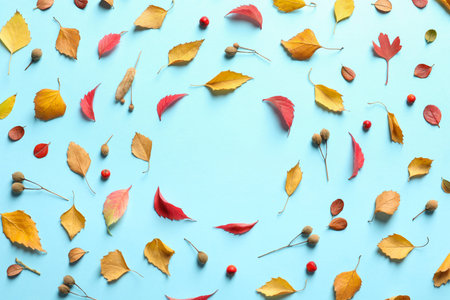 Flat lay composition with autumn leaves and space for text on color backgroundの写真素材