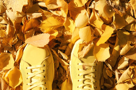 Sneakers on ground covered with fallen autumn leaves, top viewの写真素材