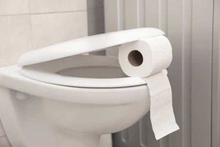Toilet bowl with paper roll in the bathroom