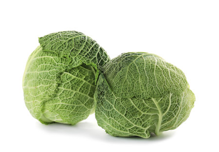 Fresh green savoy cabbages on white backgroundの写真素材