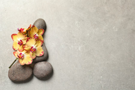 Flat lay composition with spa stones and orchid flowers on gray background. Space for textの写真素材
