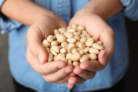 Woman holding shelled peanuts in hands, closeupの写真素材