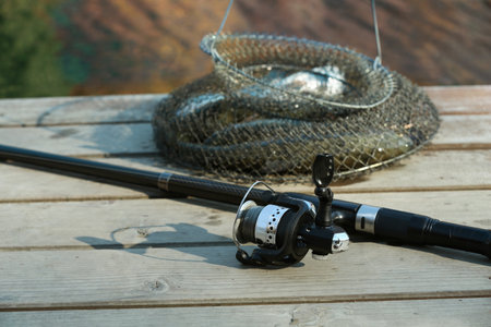 Fishing rod and fresh fish on wooden pier near pond
