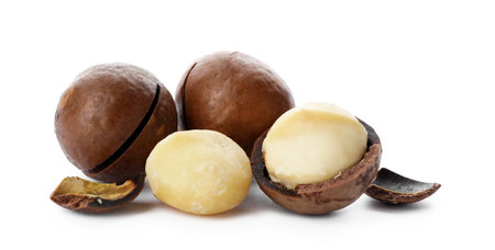 Pile of organic Macadamia nuts on white backgroundの写真素材