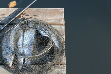 Fishing rod and fresh fish on wooden pier near pond. Space for textの写真素材
