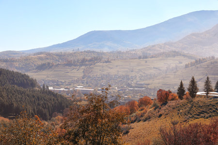 Picturesque landscape with forest and mountains
