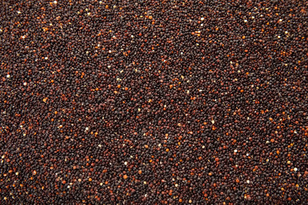 Raw black quinoa seeds as background, closeupの写真素材