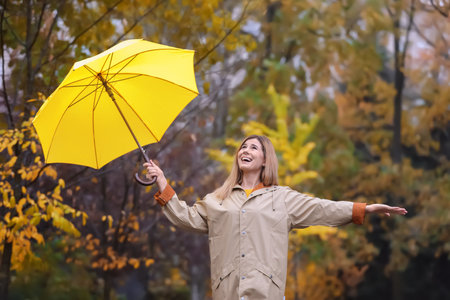 Woman with umbrella in autumn park on rainy dayの写真素材