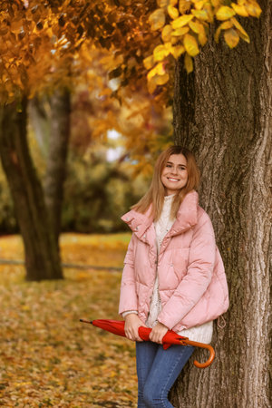 Woman with umbrella in autumn park on rainy dayの写真素材