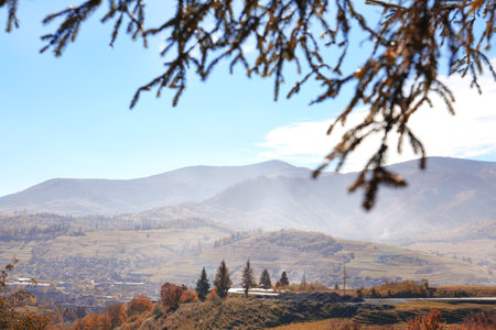 Picturesque landscape with pine tree boughs and mountainsの写真素材