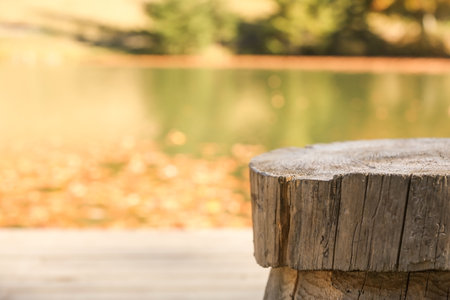 Rustic wooden stool near pond on sunny dayの写真素材