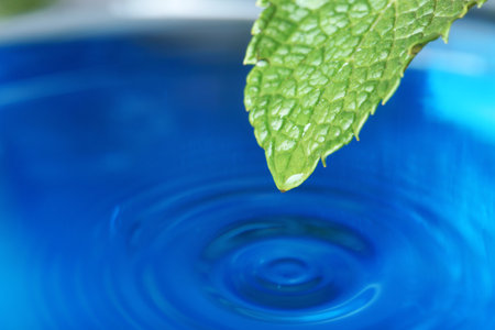 Beautiful green leaf with water drop on blue background, closeup. Space for textの写真素材