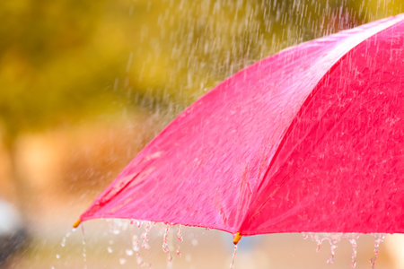 Bright color umbrella under rain outdoors, closeupの写真素材