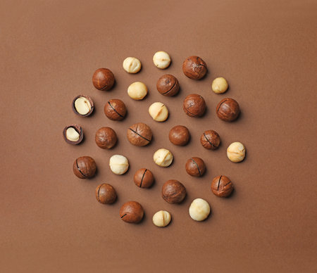 Flat lay composition with organic Macadamia nuts on color background