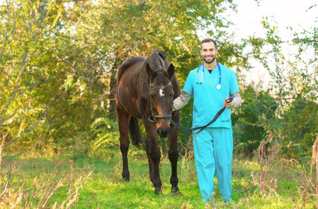 Veterinarian in uniform with beautiful brown horse outdoors. Space for text