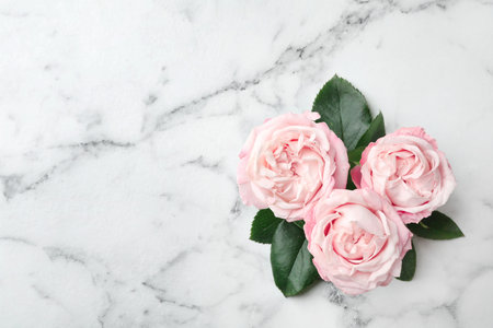 Beautiful roses and space for text on marble background, top viewの写真素材